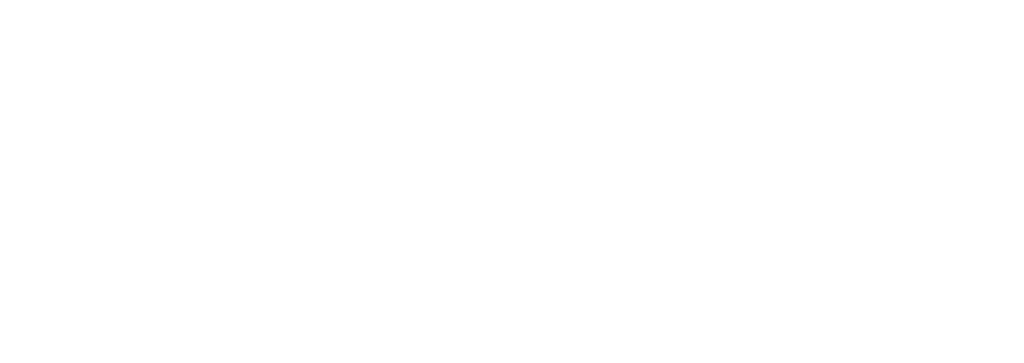 VMware Logo White